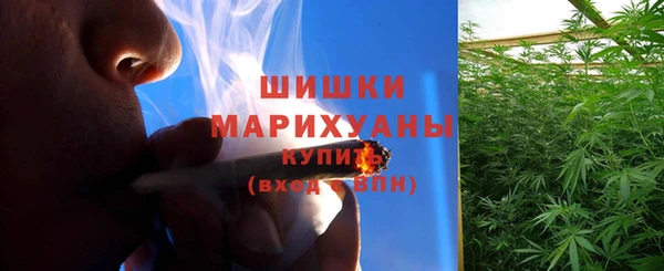 твердый Майский