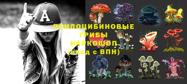 твердый Майский