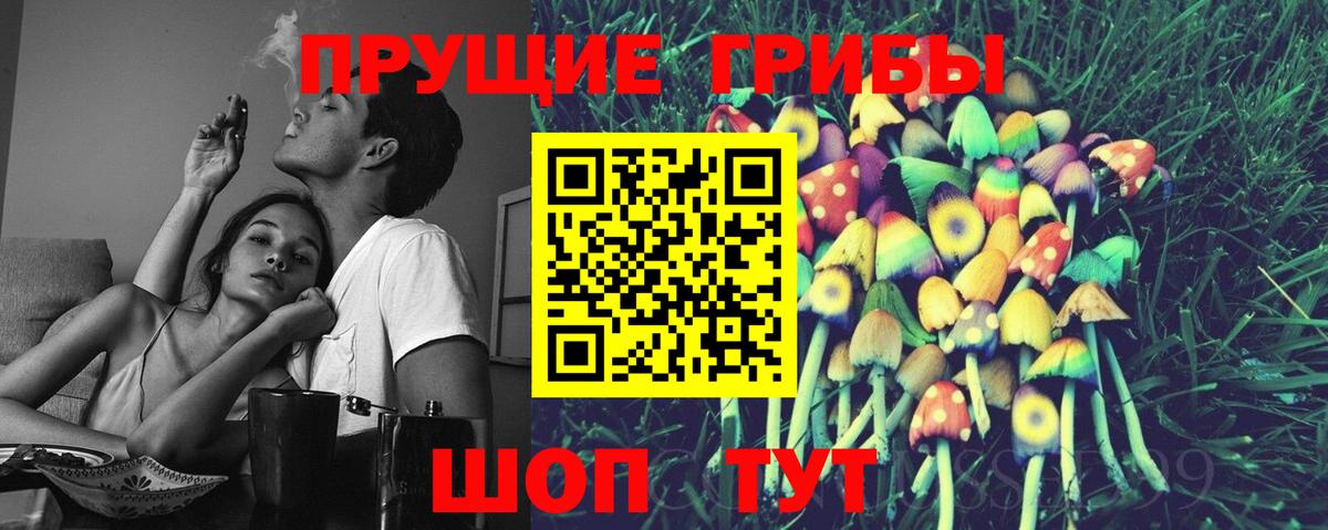купить закладку  Псилоцибиновые грибы Psilocybe  Вход с VPN  Красноярск 