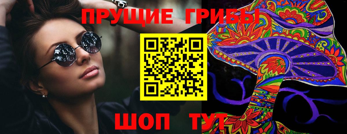 Псилоцибиновые грибы Cubensis Красноярск